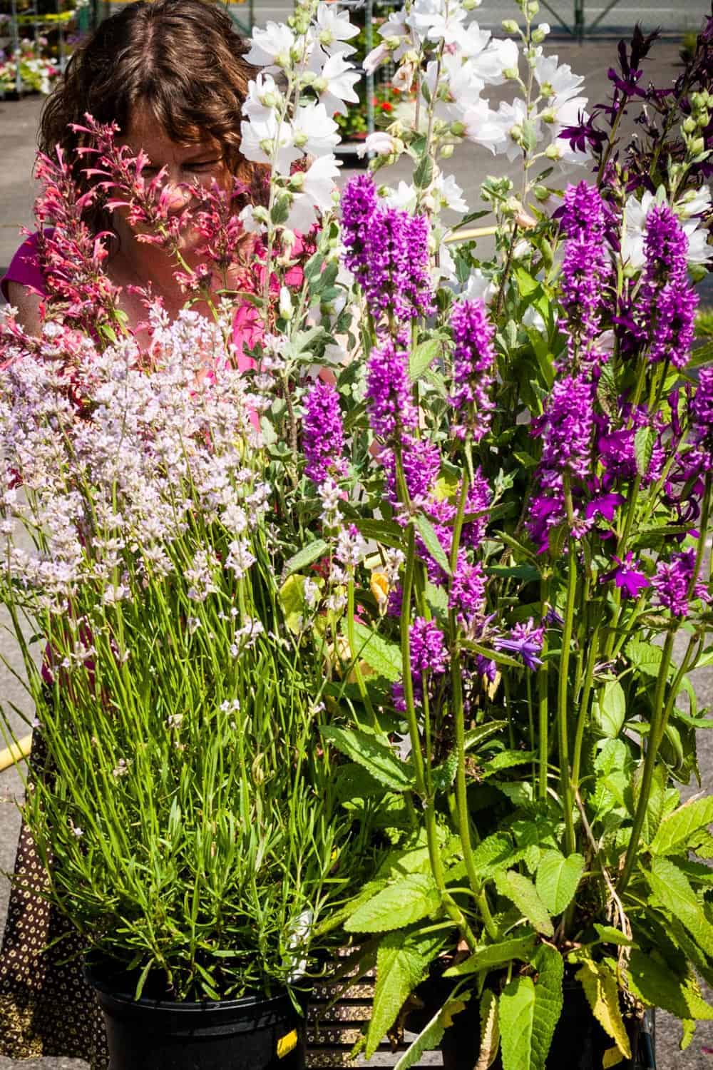 Eskalation im Gartencenter