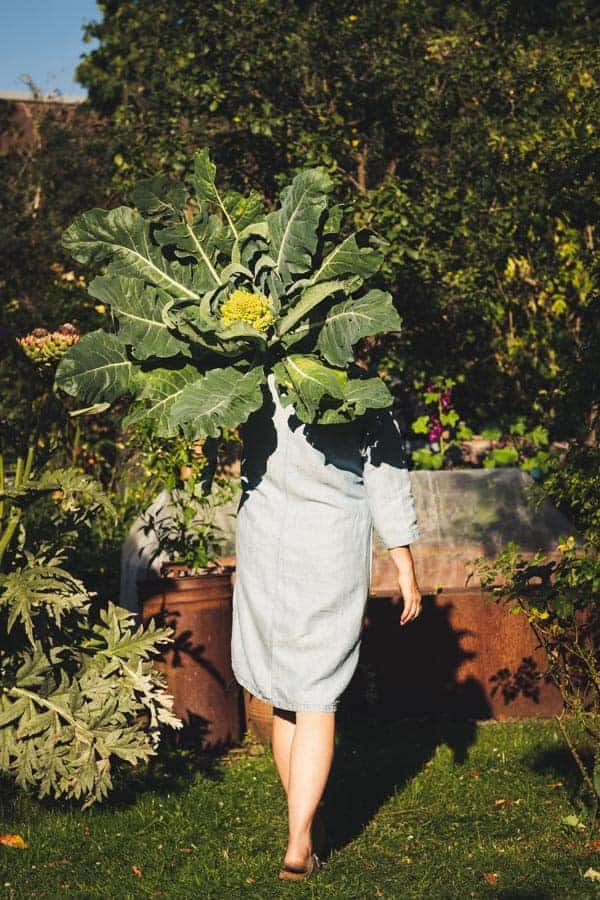Macht mit bei unserer Gartenrezepte-Challenge