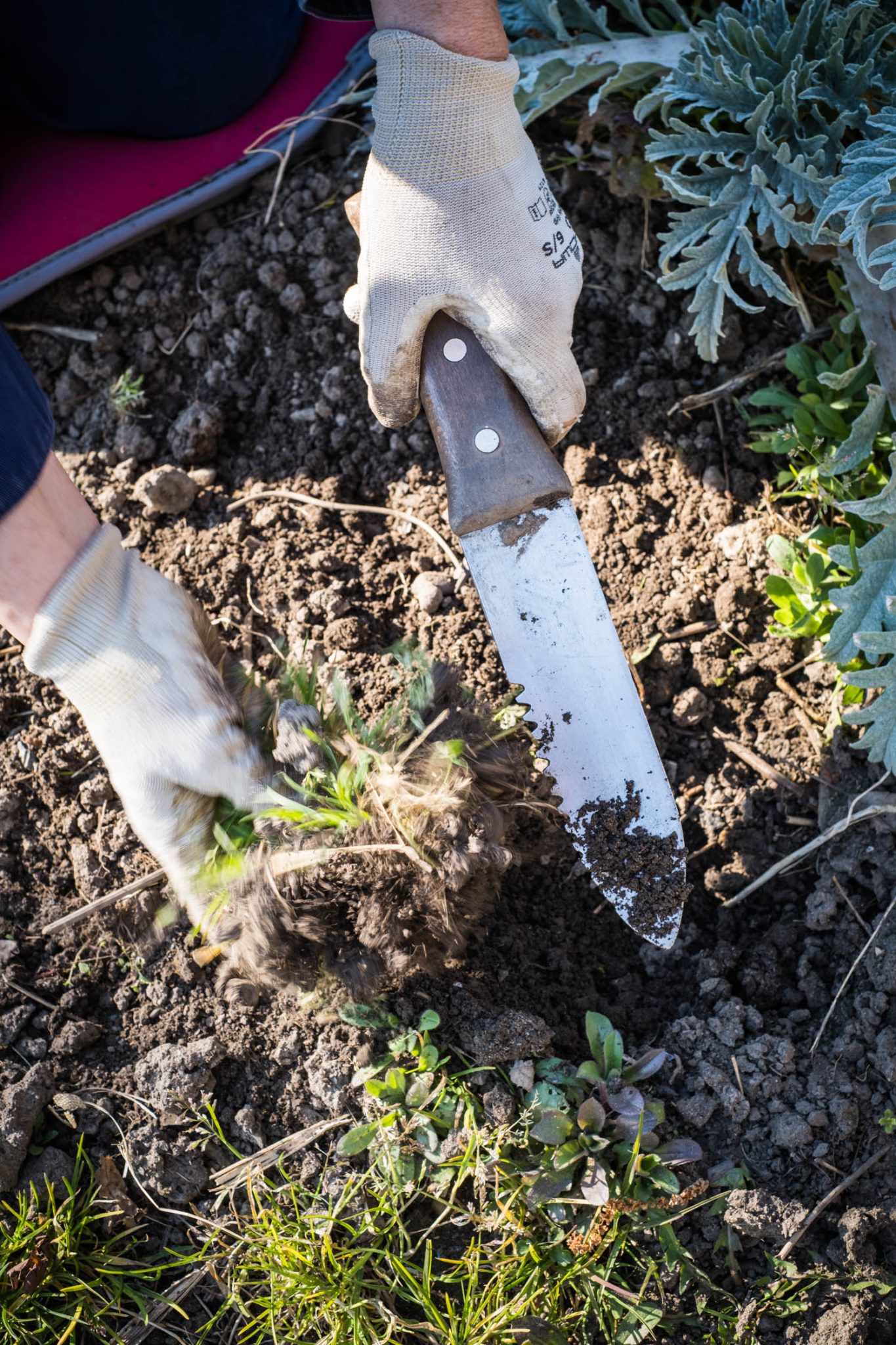 Garten frühlingsfit machen in fünf Schritten