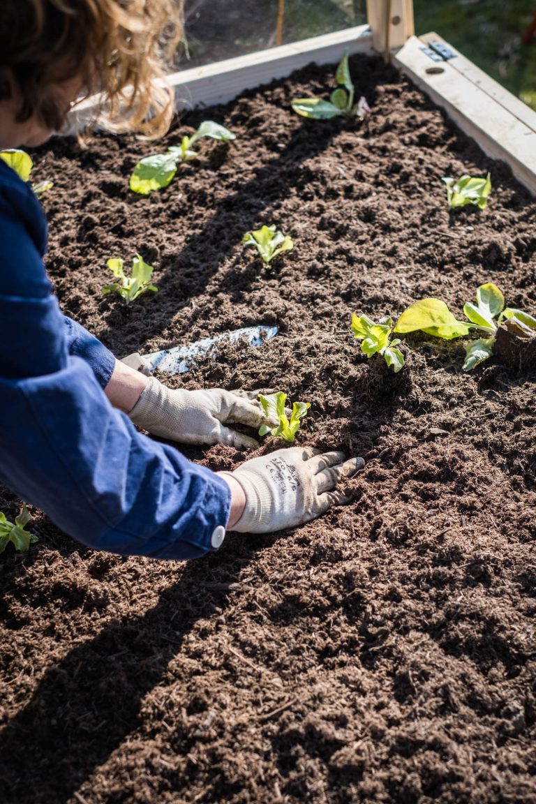 Garten frühlingsfit machen in fünf Schritten
