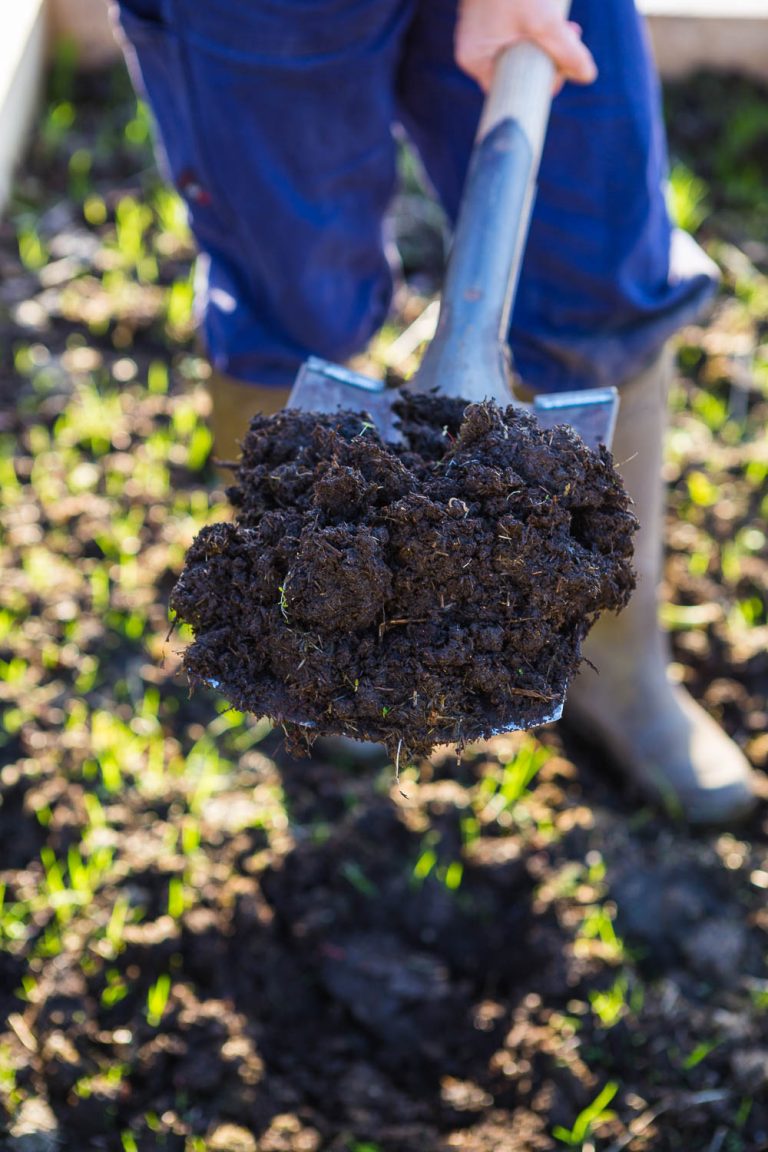 Deine HochbeetErde sackt ab so gehst du damit um