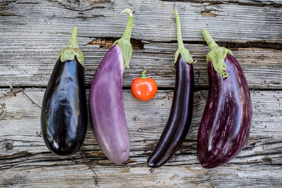Wie Sieht Eine Unreife Aubergine Aus Reife Auberginen erkennen - mit 4 Tipps zum Ernteglück | Der kleine