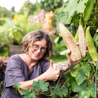 Luffa anbauen nie mehr Plastikschwämme kaufen