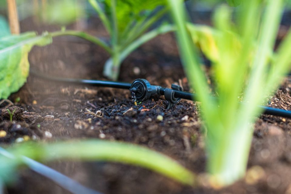 Automatische Bewässerung Hochbeet Tropfer