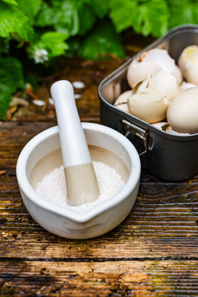 pulverisierte Eierschalen als Kalziumquelle für Tomaten
