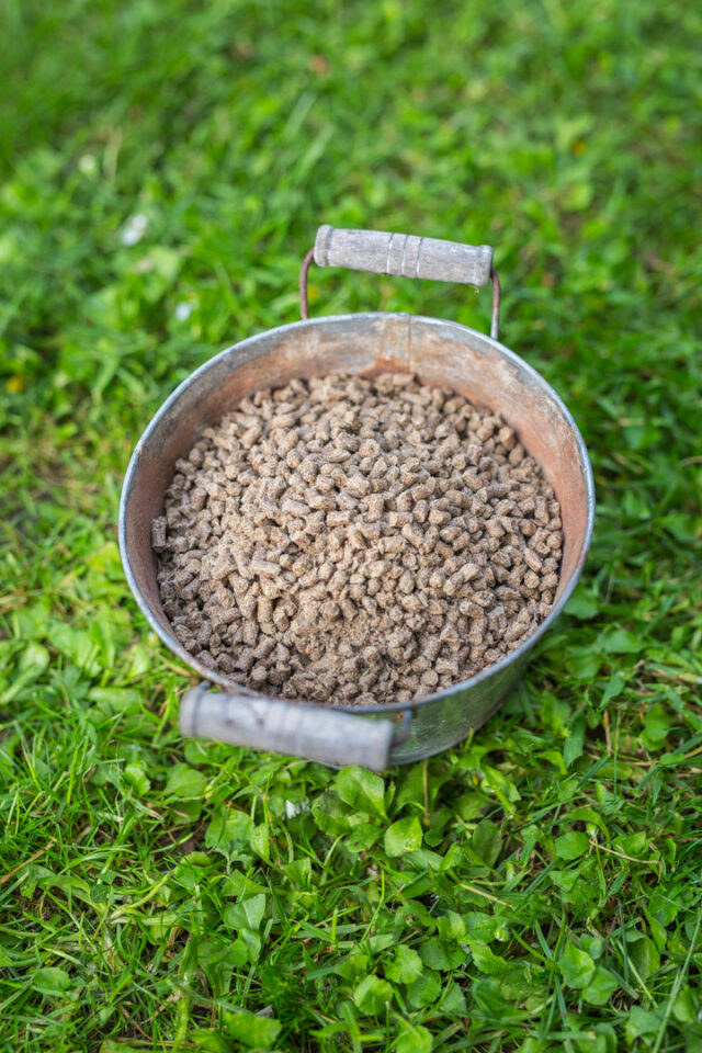 Schale mit Schafwollpellets