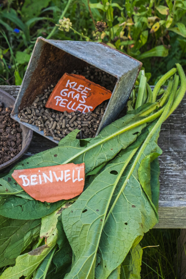 Kleegras-Pellets und Beinwell Stickstoff und Kalium für frisch gepflanzte Tomaten