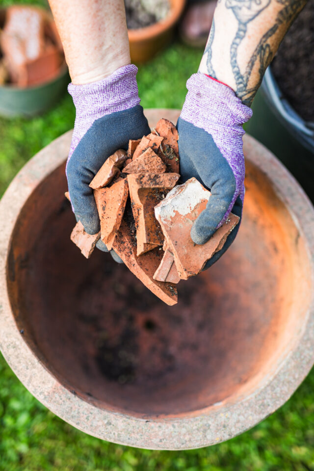 Tonscherben als Drainageschicht für Tomaten Pflanzen im Topf