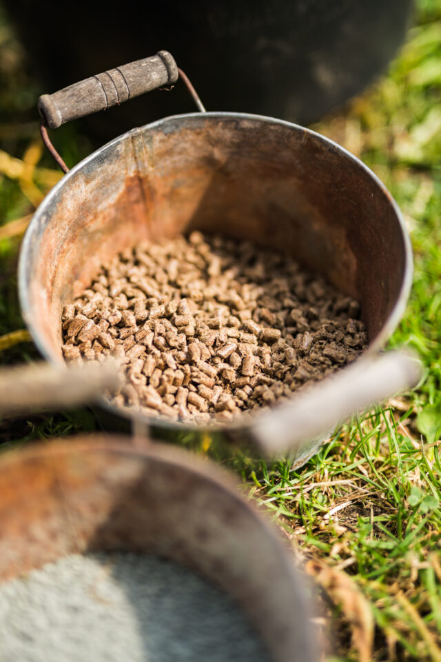 Schafwollpellets verbessern die Wasserhaltefähigkeit von Erde im Topf