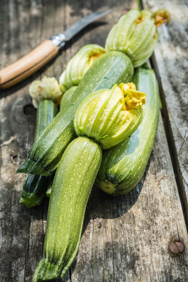 große Zucchini Ernte am richtigen Standort