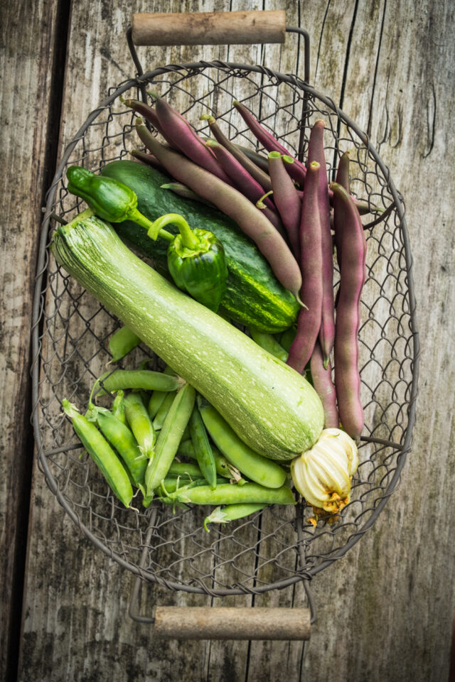 gute Partner für Zucchini im Beet, Bohnen und Erbsen, im Topf bleibt sie lieber alleine