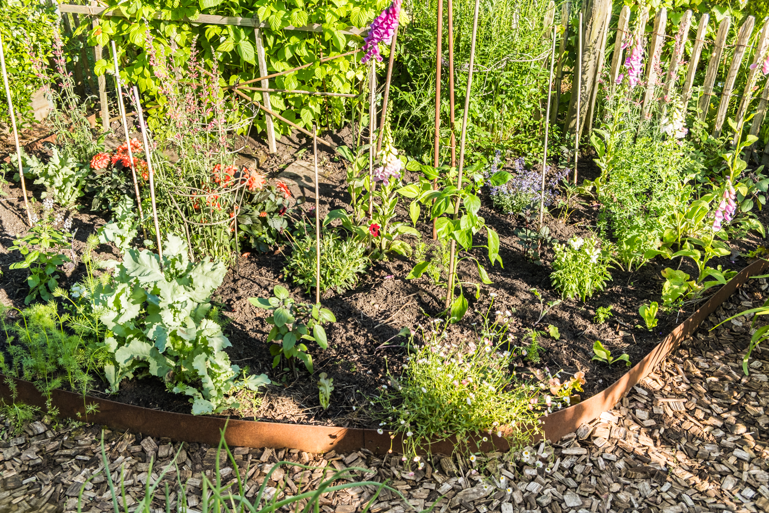 Essbares Staudenbeet anlegen
