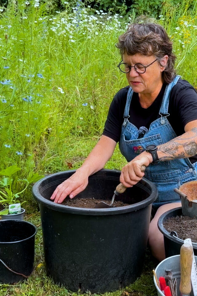 Zucchini im Topf pflanzen, ein Kunststofftopf ist leichter als ein Tontopf