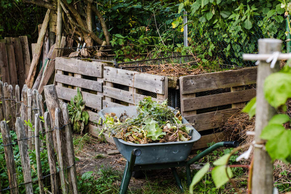 aufgeräumter Herbstgarten hilft Schneckenverstecke zu reduzieren