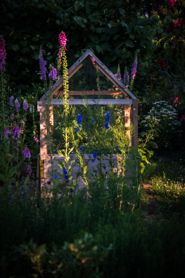 dunkler Garten zieht Glühwürmchen an